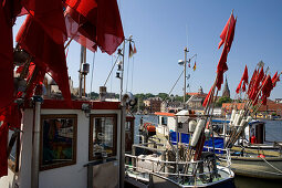 Fishing boats in harbor, Flensburg, Schleswig-Holstein, Germany
