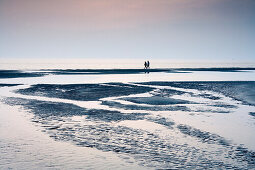 Two persons walking through tideland, St. Peter-Ording, Schleswig-Holstein, Germany