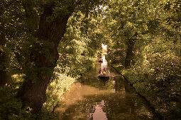 Rowing boats on a canal in the forest, Woerlitz Park, Woerlitz, Saxony-Anhalt, Germany, Europe