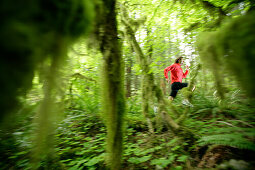 Läufer, Mann läuft durch den Wald, Hood to Coast Rennen, Oregon, USA