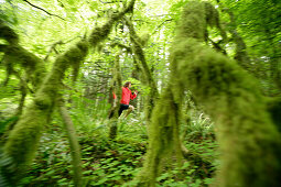 Runner, Hood to Coast Relay, Oregon, USA