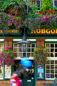 Europa, England, Oxfordshire, Oxford, Pub Hobgoblin