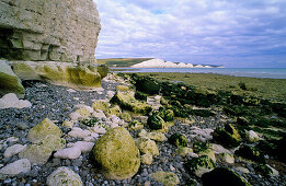 Europe, England, Kent, Seven Sisters, near Seaford