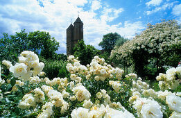 Europe, Great Britain, England, Sissinghurst Castle, [Sissinghurst's garden was created in the 1930s by Vita Sackville-West, poet and gardening writer, and her husband Harold Nicolson, author and diplomat]