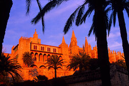 Europe, Spain, Majorca, Palma, Cathedral, La Seu