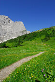 path in alpine pasture leading towards mountain range, Eng, Enger Alm, Karwendel range, Tyrol, Austria
