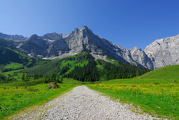 breiter Weg in Almwiese auf Bergkulisse zu, Eng, Enger Alm, Karwendel, Tirol, Österreich