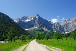 breiter Weg in Almwiese auf Bergkulisse zu, Großer Ahornboden, Eng, Karwendel, Tirol, Österreich