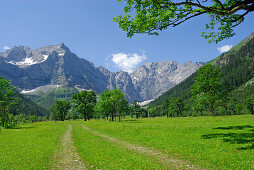 wide path in alpine pasture leading towards mountain range, Großer Ahornboden, Eng, Karwendel range, Tyrol, Austria