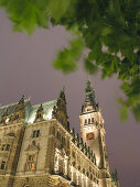 Town Hall, Hanseatic City of Hamburg, Germany