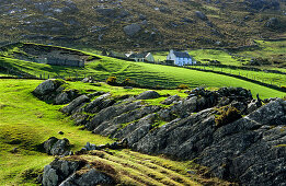 Landschaft mit Bauernhöfe im Ring of Beara, bei Allihies, Co. Cork, Republik Irland, Europa