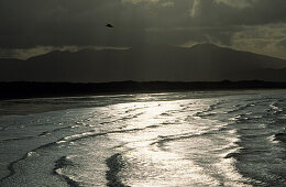 Inch Strand, Halbinsel Dingle, County Kerry, Irland, Europa