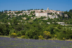 Blühendes Lavendelfeld vor dem Dorf Sault, Vaucluse, Provence, Frankreich