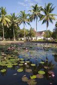Teich mit Lotusblüten im Garten des Königspalastes Ho Kham in Luang Prabang, Laos
