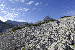 Limestone pavement, Steinernes Meer, Berchtesgaden Range, Salzburg, Austria