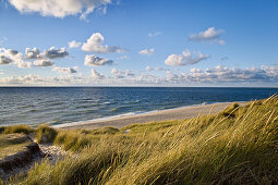 Dunes on Ellenbogen, Sylt Island, Schleswig-Holstein, Germany