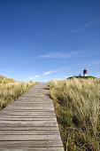 Quermarkenfeuer in den Dünen, Norddorf, Amrum, Schleswig-Holstein, Deutschland