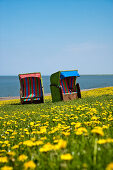 Beach Chairs and Flowers on a Dyke, Pellworm Island, North Frisian Islands, Schleswig-Holstein, Germany