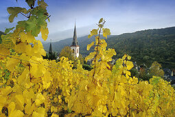 Blick von einem Weinberg auf Kirche St. Martin, Ediger-Eller, Rheinland-Pfalz, Deutschland
