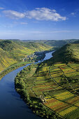 Moselle valley near Ediger-Eller, Stuben abbey ruin, Rhineland-Palatinate, Germany