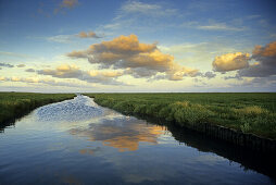 Wolken spiegeln sich im Kanal im Deichvorland, Halbinsel Eiderstedt, Nordfriesland, Schleswig-Holstein, Deutschland