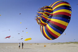 Kites at the beach, St. Peter-Ording, Schleswig-Holstein, Germany