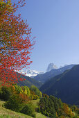 Grödnertal im Herbst mit Sellagruppe und Langkofel, Dolomiten, Südtirol, Italien