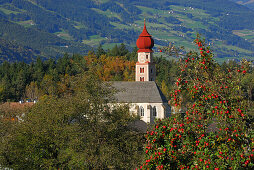 Kirche über dem Eisacktal mit roten Äpfeln an Apfelbaum, Dolomiten, Südtirol, Italien