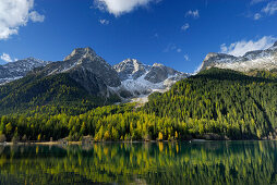 Lake Antholzer See with larches in autumn colours and Ohrenspitze, Riesenfernergruppe range, South Tyrol, Italy