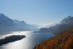 View to lake Silser See with larches in autumn colours, Oberengadin, Engadin, Grisons, Switzerland