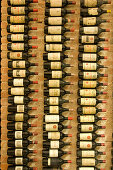 Weinkeller, Weinlagerung mit Raritäten, Château Petrus, Palais Coburg, Wien, Österreich