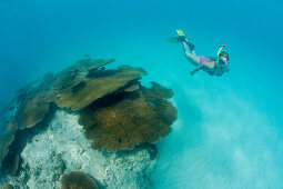 Schnorcheln ueber Korallen in der Lagune von Bikini, Marschallinseln, Bikini Atoll, Mikronesien, Pazifik