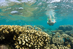 Korallen und Schnorchler in der Lagune von Bikini, Marschallinseln, Bikini Atoll, Mikronesien, Pazifik