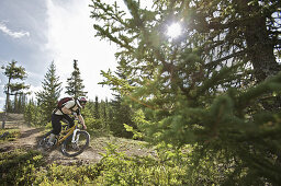 Mountain biker riding on a trail in a forest, Lillehammer, Norway