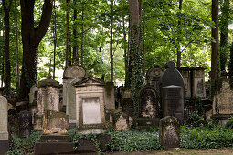 Alter Jüdischer Friedhof, Dresden, Sachsen, Deutschland