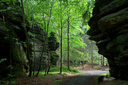 Uttewalder Ground, Saxon Switzerland National Park, Lohmen, Saxony, Germany