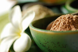 Detail of the spa at Amandari Resort, Yeh Agung valley, Bali, Indonesia, Asia