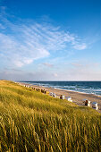 Blick über den Strand bei Rantum, Sylt, Nordfriesland, Schleswig-Holstein, Deutschland