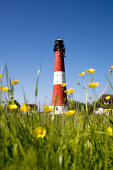 Lighthouse and flowers, Pellworm Island, North Frisian Islands, Schleswig-Holstein, Germany