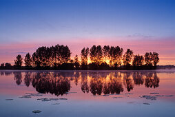 Sunrise at Lake Millinger, old arm of Rhine river, near Rees, Lower Rhine, North Rhine-Westphalia, Germany