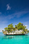 Felseninsel in den Rock Islands, Mikronesien, Palau