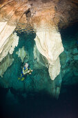 Taucher in Chandelier Cave Unterwasser-Tropfsteinhoehle, Mikronesien, Palau