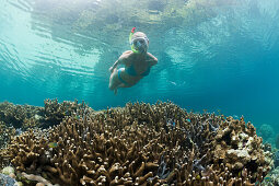 Snorkeling in Rock Islands, Risong Bay, Micronesia, Palau