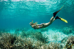 Skin Diving at Palau, Micronesia, Palau