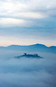 Mountain tops in the high fog at sunrise, Rueili, Alishan, Taiwan, Asia