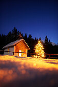 Little chapel with christmas tree at night, Elmau, Bavaria, Germany