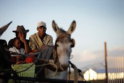 Family on a cart pulled by a donkey, Windhoek, Namibia, Africa