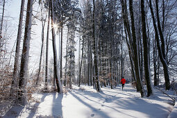 Person jogging in winter, Muensing, Bavaria, Germany