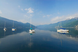 Segelboote ankern im Lago Maggiore, Ascona, Lago Maggiore, Tessin, Schweiz