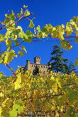 Vineyard and Castello Grinzane Cavour under blue sky, Piedmont, Italy, Europe